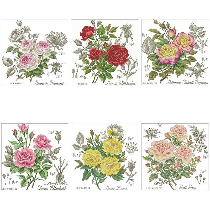 Sombra rosa padrões contados 1 - Embroidery Rose Stitch avaliação e preço